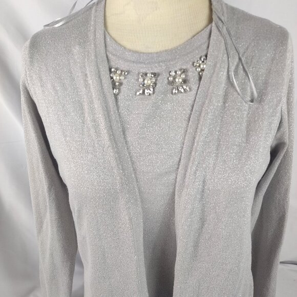 Cactus Pearl Womens Pullover Long Sleeve Sweater Metallic Silver Sz Med. - Picture 1 of 6